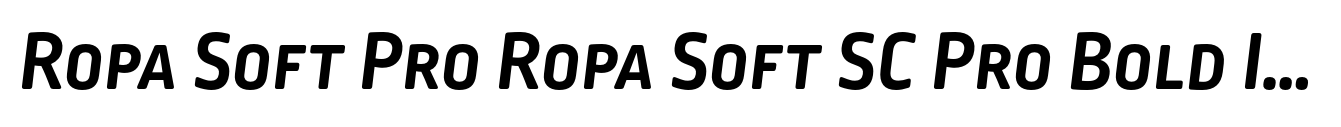 Ropa Soft Pro Ropa Soft SC Pro Bold Italic